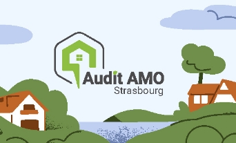 Audit AMO - Page détail