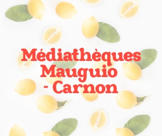 Médiathèques de Mauguio-Carnon - Page détail